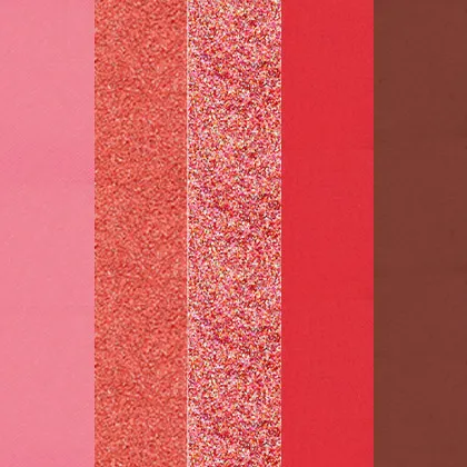 Blooming Hues 5 shade palette