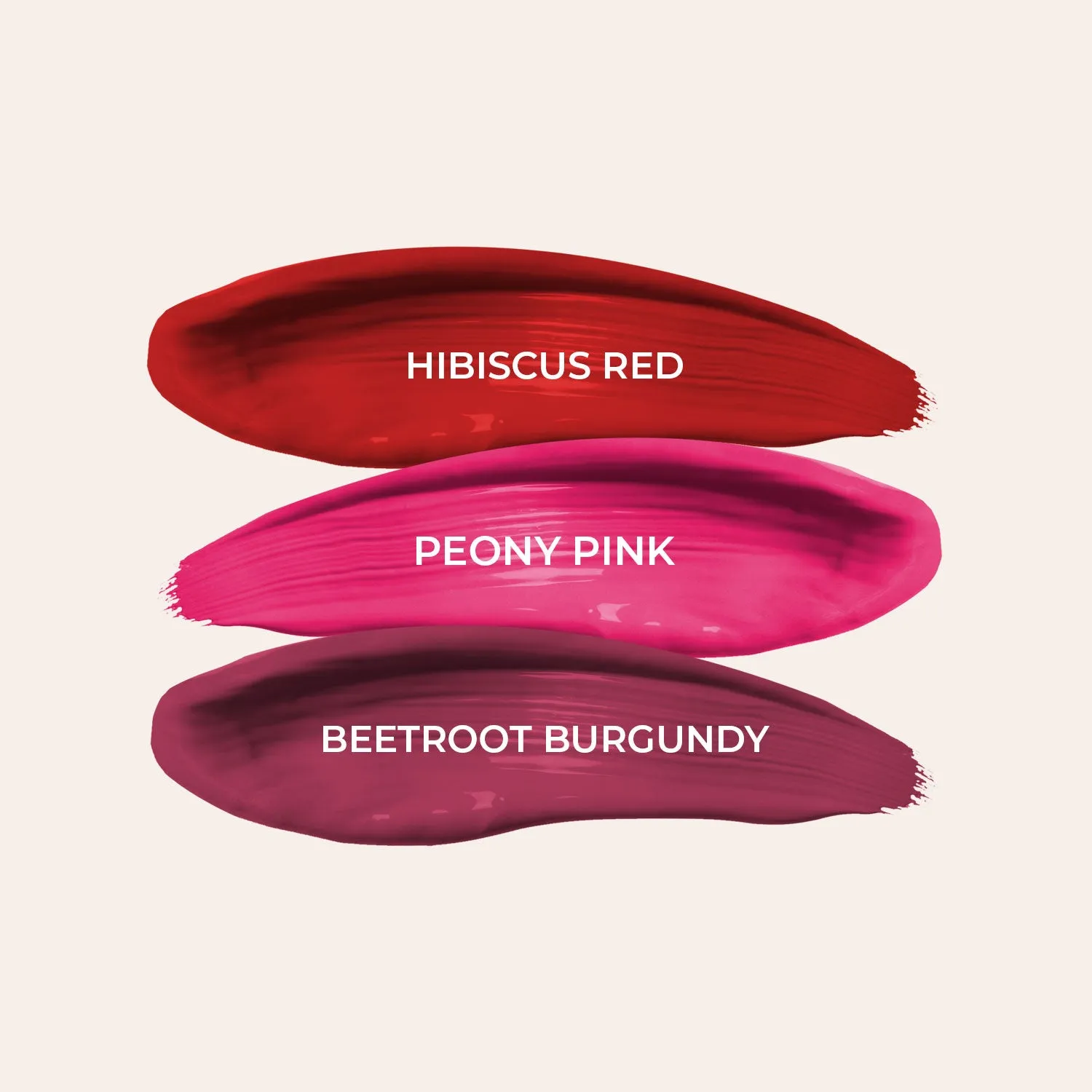 Full-Size Herb Enriched Matte Liquid Lipstick Kit - Set of 3 (Day & Office Look) - GWP