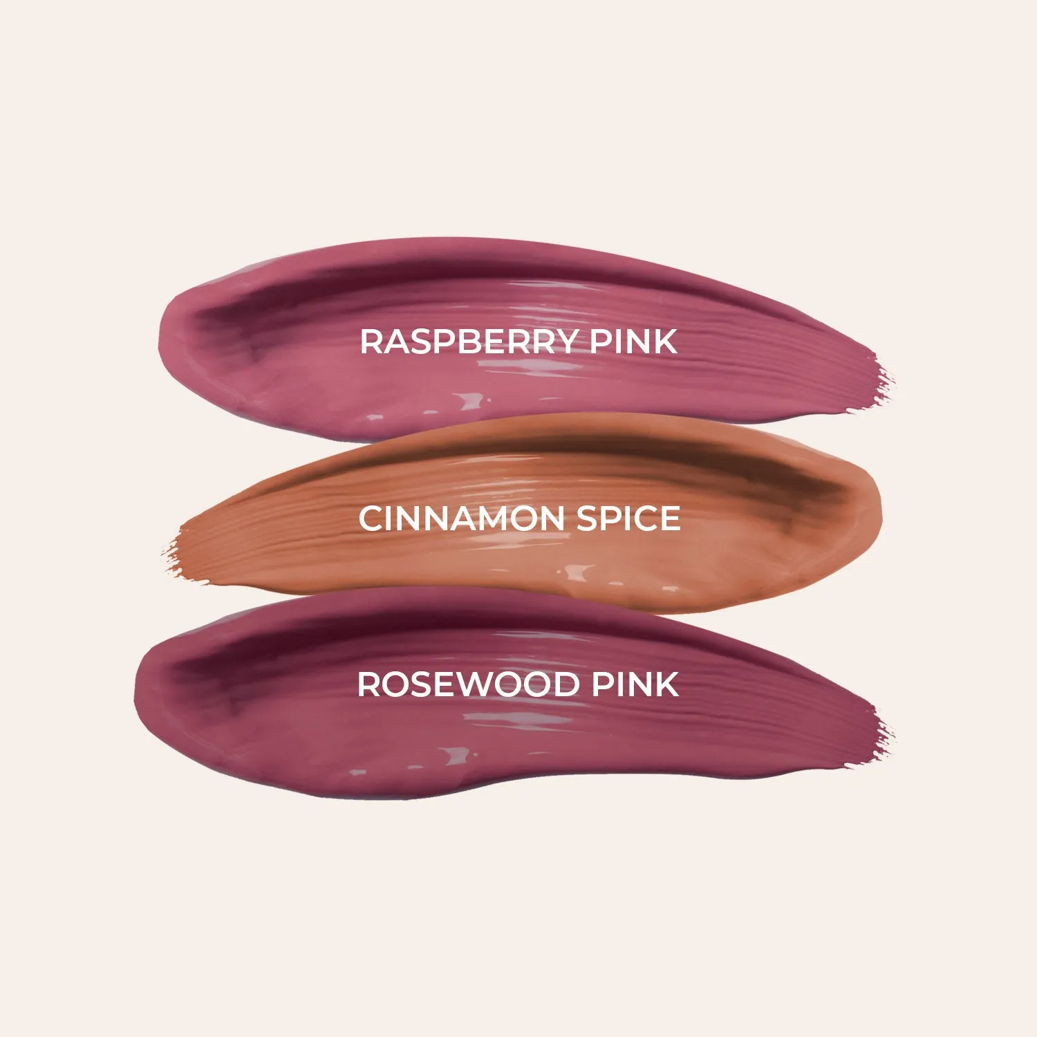 Full-Size Herb Enriched Matte Liquid Lipstick Kit - Set of 3 (Day & Office Look) - GWP