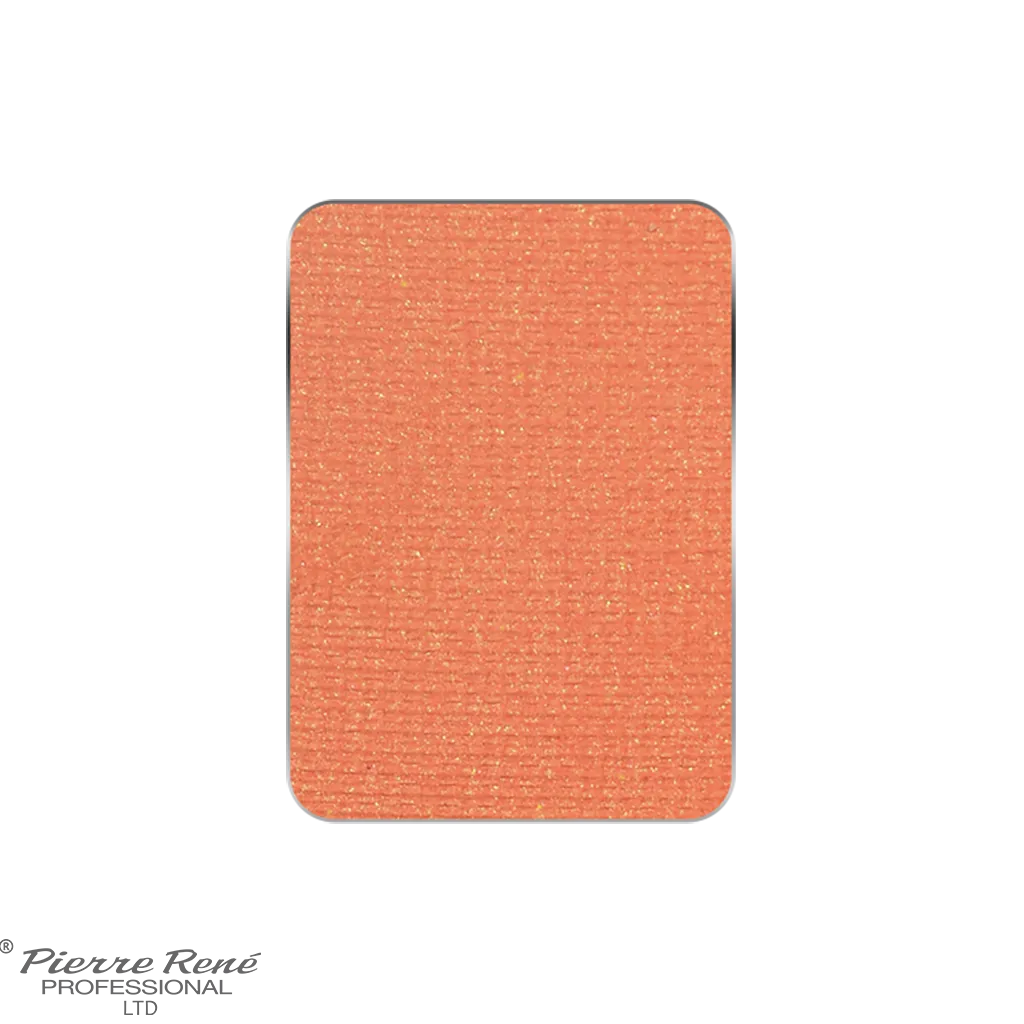 Palette Match System Eyeshadow 51 - 100