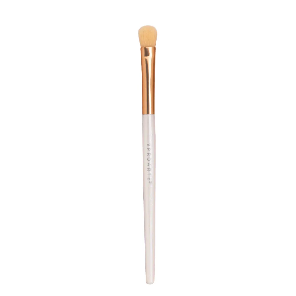 Proarte shine on brush set