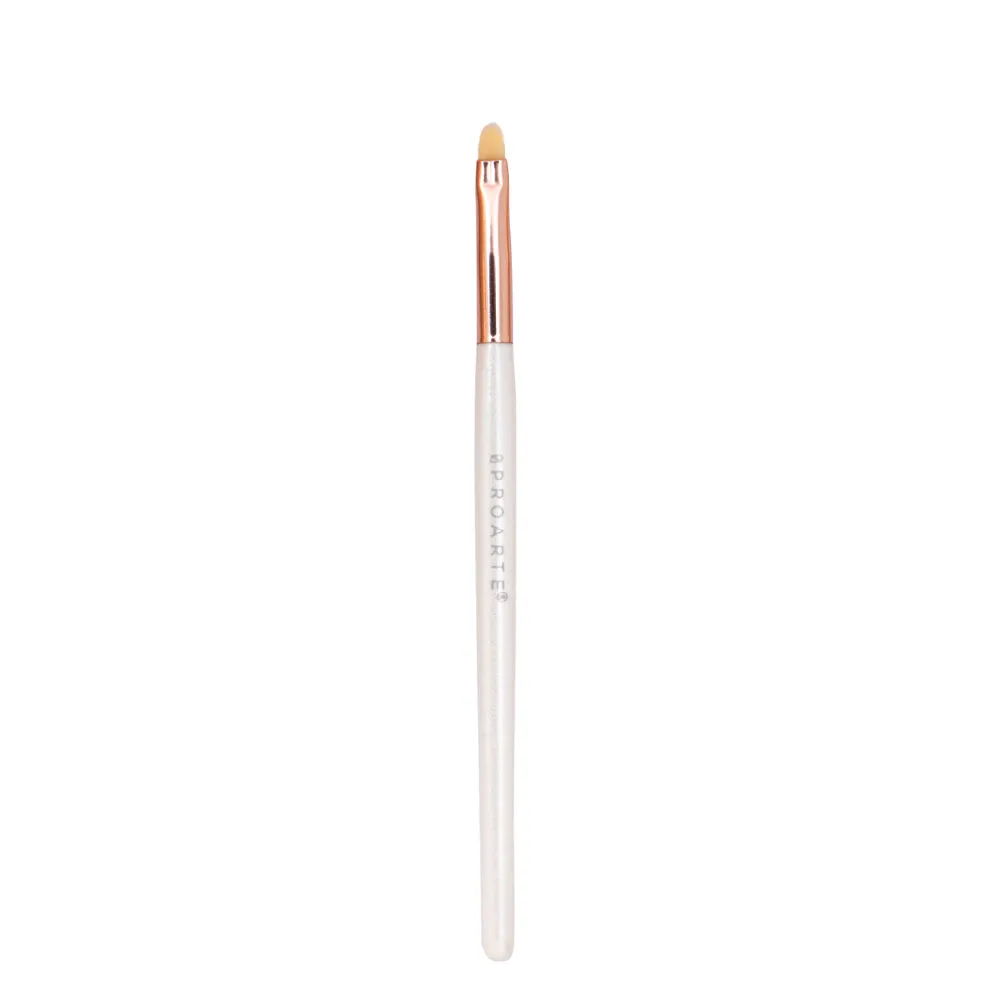 Proarte shine on brush set