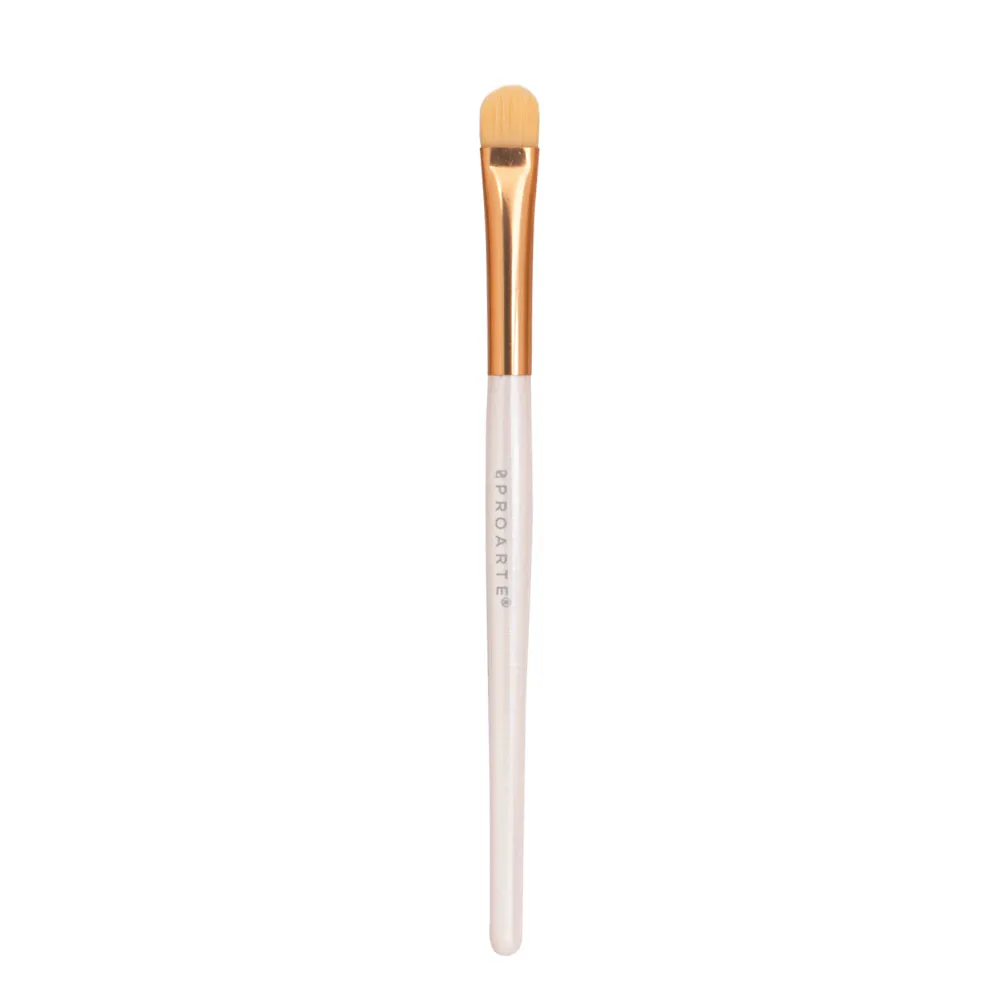 Proarte shine on brush set