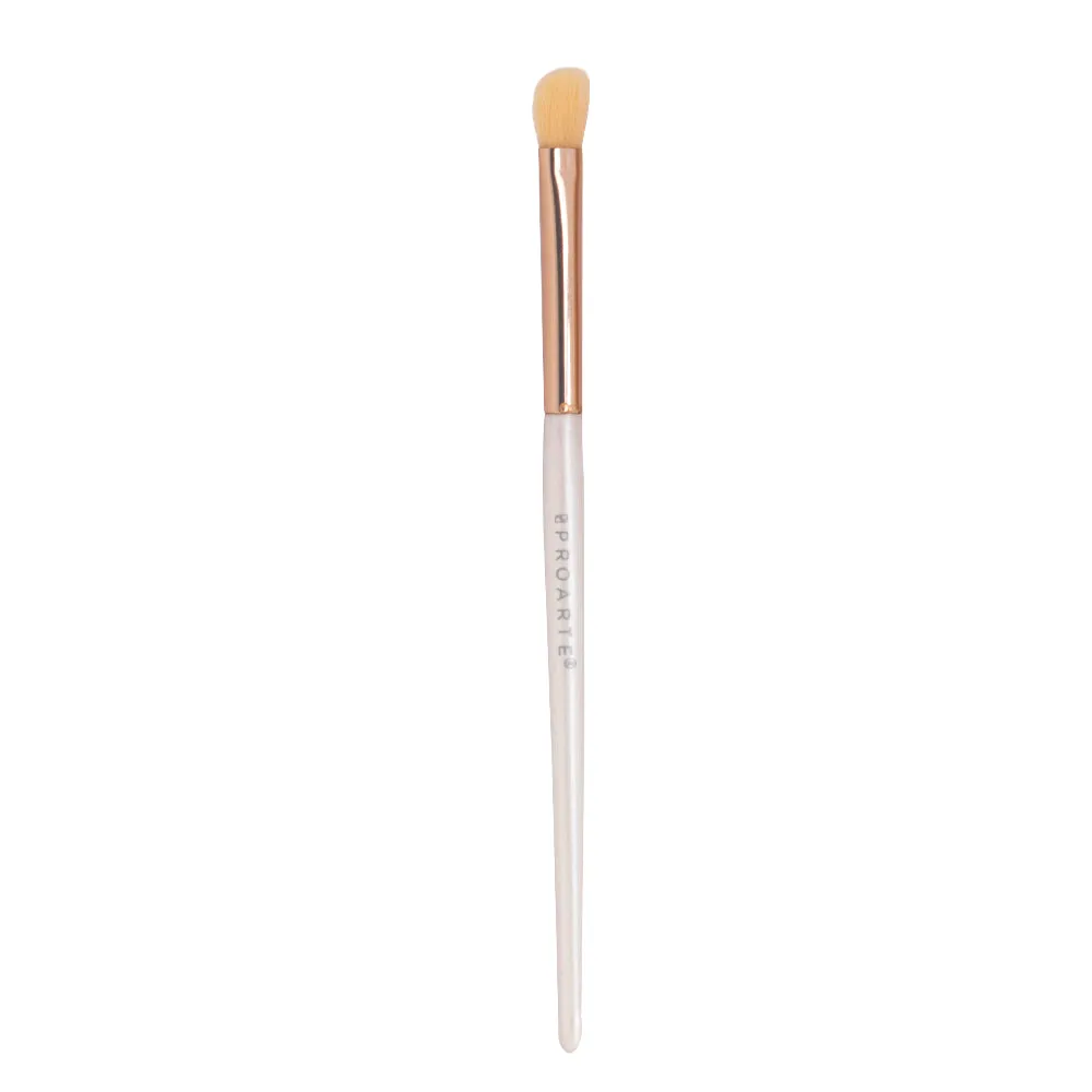 Proarte shine on brush set