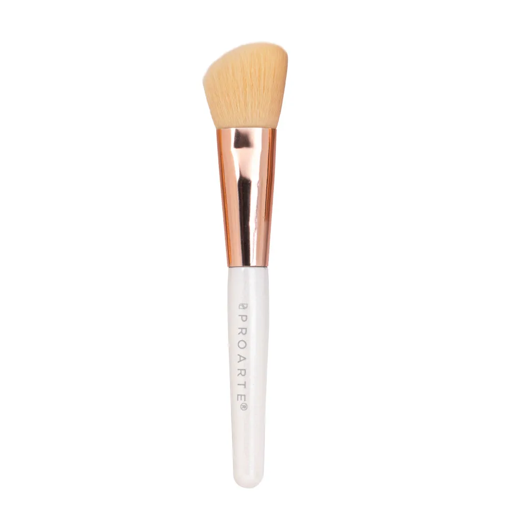 Proarte shine on brush set