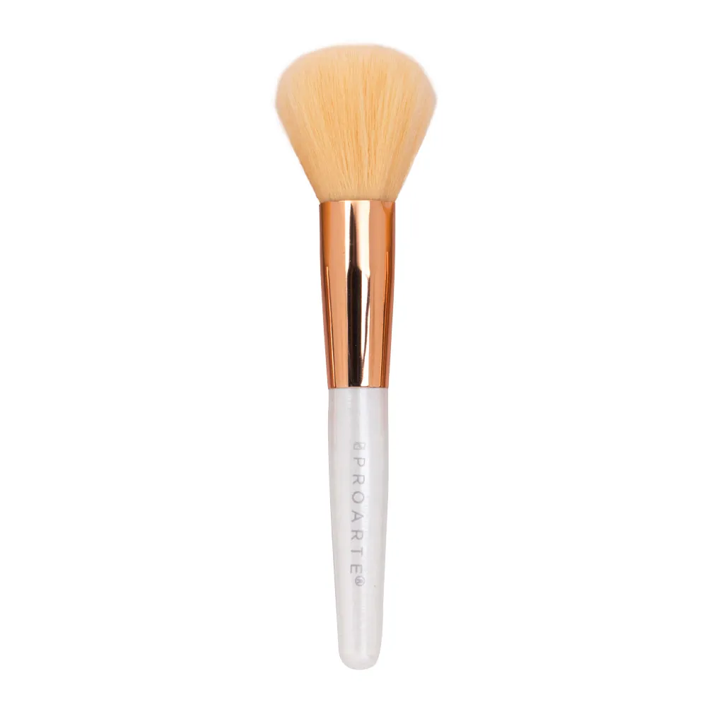 Proarte shine on brush set