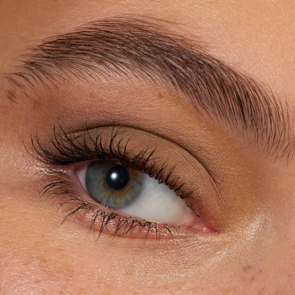 the art gallery eyeshadow & eyeliner palette